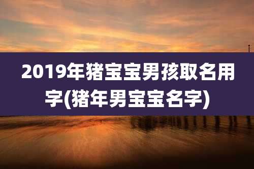 2019年猪宝宝男孩取名用字(猪年男宝宝名字)