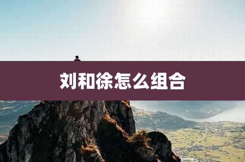 刘和徐怎么组合