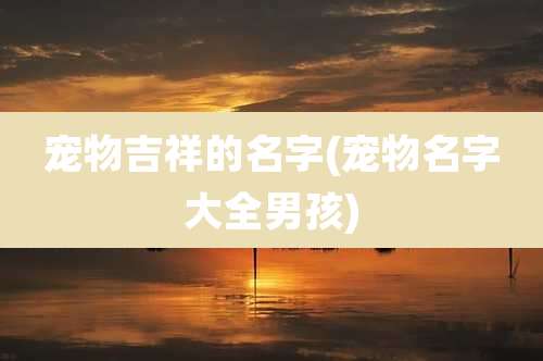 宠物吉祥的名字(宠物名字大全男孩)
