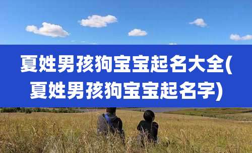 夏姓男孩狗宝宝起名大全(夏姓男孩狗宝宝起名字)