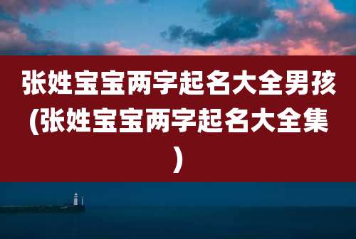 张姓宝宝两字起名大全男孩(张姓宝宝两字起名大全集)