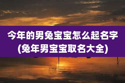 今年的男兔宝宝怎么起名字(兔年男宝宝取名大全)