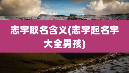 志字取名含义(志字起名字大全男孩)