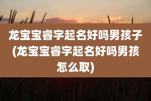 龙宝宝睿字起名好吗男孩子(龙宝宝睿字起名好吗男孩怎么取)