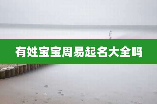 有姓宝宝周易起名大全吗