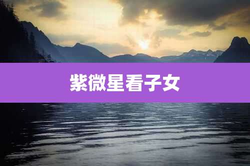 紫微星看子女
