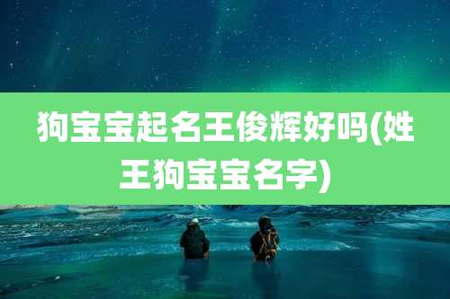 狗宝宝起名王俊辉好吗(姓王狗宝宝名字)