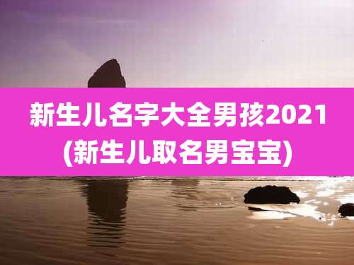 新生儿名字大全男孩2021(新生儿取名男宝宝)