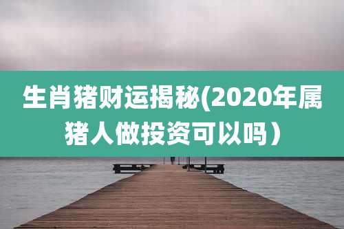 生肖猪财运揭秘(2020年属猪人做投资可以吗)