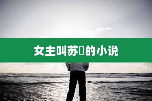 女主叫苏璟的小说