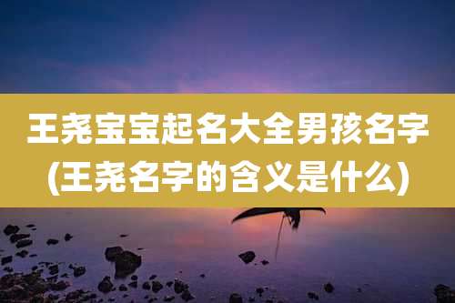 王尧宝宝起名大全男孩名字(王尧名字的含义是什么)