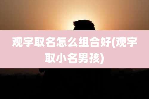 观字取名怎么组合好(观字取小名男孩)