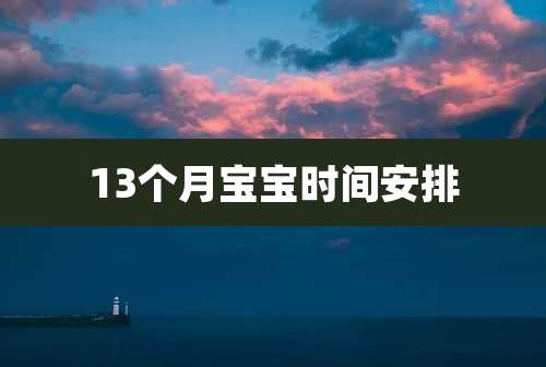 13个月宝宝时间安排