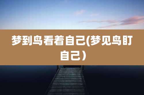 梦到鸟看着自己(梦见鸟盯自己）