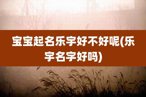 宝宝起名乐宇好不好呢(乐宇名字好吗)