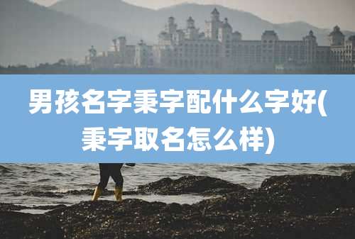 男孩名字秉字配什么字好(秉字取名怎么样)