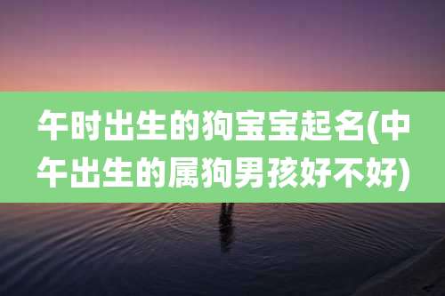 午时出生的狗宝宝起名(中午出生的属狗男孩好不好)