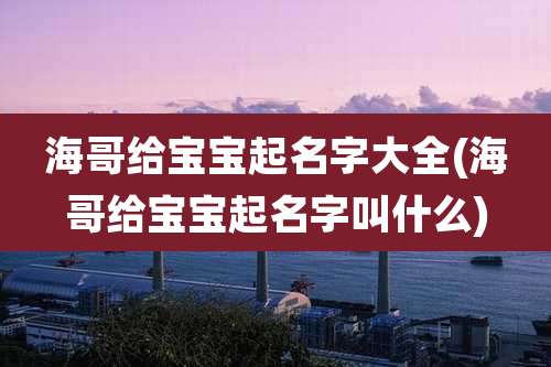 海哥给宝宝起名字大全(海哥给宝宝起名字叫什么)