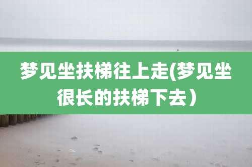 梦见坐扶梯往上走(梦见坐很长的扶梯下去）
