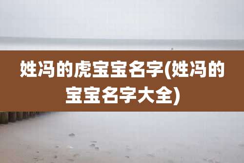 姓冯的虎宝宝名字(姓冯的宝宝名字大全)