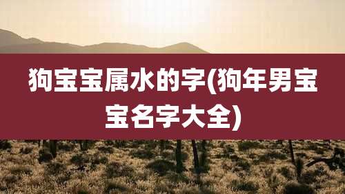 狗宝宝属水的字(狗年男宝宝名字大全)