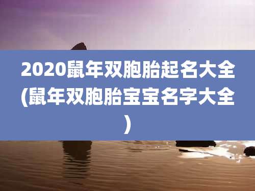 2020鼠年双胞胎起名大全(鼠年双胞胎宝宝名字大全)