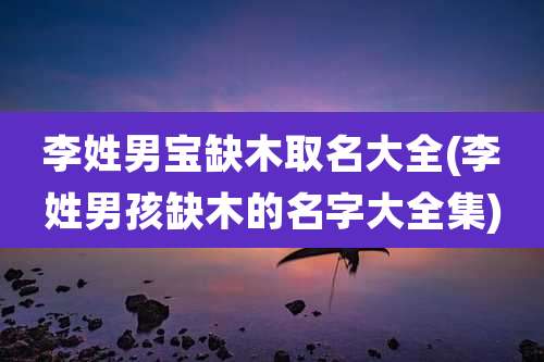 李姓男宝缺木取名大全(李姓男孩缺木的名字大全集)