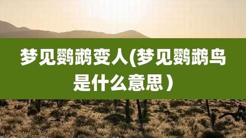 梦见鹦鹉变人(梦见鹦鹉鸟是什么意思）