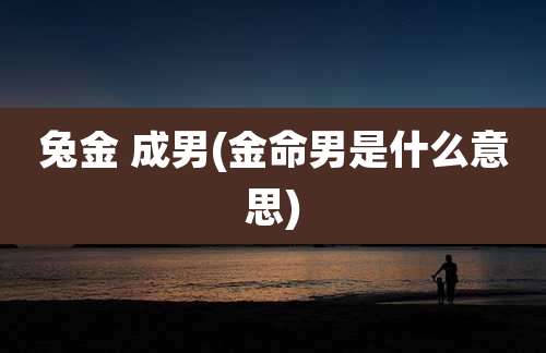 兔金 成男(金命男是什么意思)