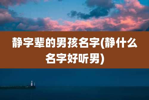 静字辈的男孩名字(静什么名字好听男)