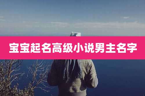 宝宝起名高级小说男主名字