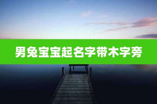 男兔宝宝起名字带木字旁