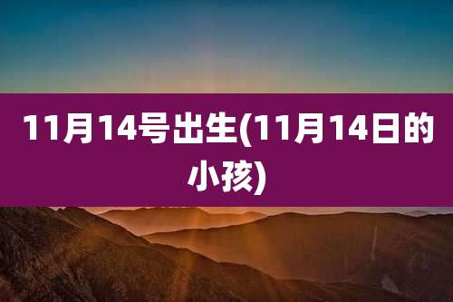 11月14号出生(11月14日的小孩)