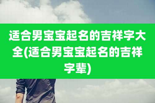 适合男宝宝起名的吉祥字大全(适合男宝宝起名的吉祥字辈)