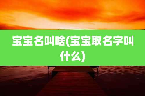 宝宝名叫啥(宝宝取名字叫什么)