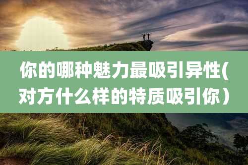 你的哪种魅力最吸引异性(对方什么样的特质吸引你）