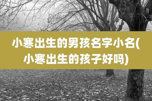 小寒出生的男孩名字小名(小寒出生的孩子好吗)