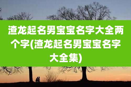 渣龙起名男宝宝名字大全两个字(渣龙起名男宝宝名字大全集)