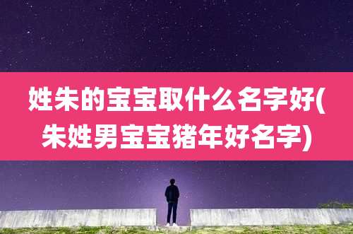 姓朱的宝宝取什么名字好(朱姓男宝宝猪年好名字)