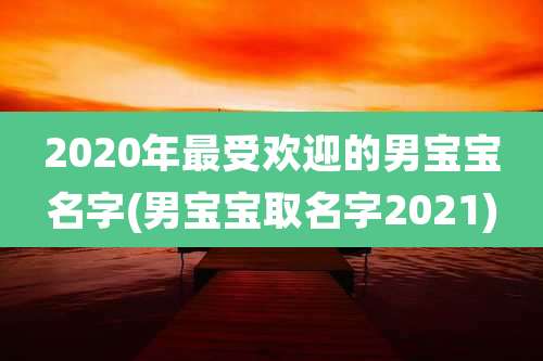2020年最受欢迎的男宝宝名字(男宝宝取名字2021)