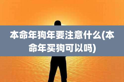 本命年狗年要注意什么(本命年买狗可以吗)