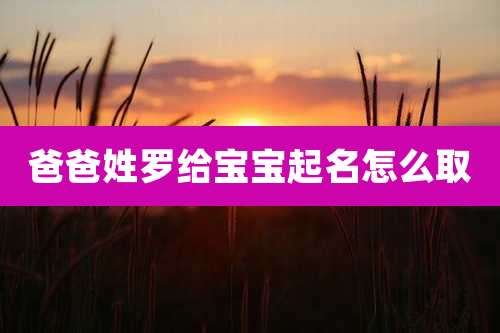 爸爸姓罗给宝宝起名怎么取
