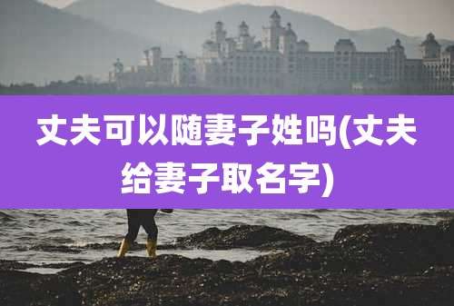 丈夫可以随妻子姓吗(丈夫给妻子取名字)