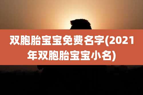 双胞胎宝宝免费名字(2021年双胞胎宝宝小名)