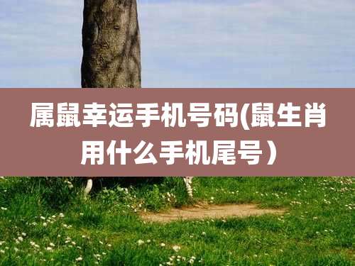 属鼠幸运手机号码(鼠生肖用什么手机尾号）