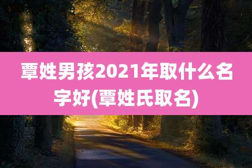 覃姓男孩2021年取什么名字好(覃姓氏取名)