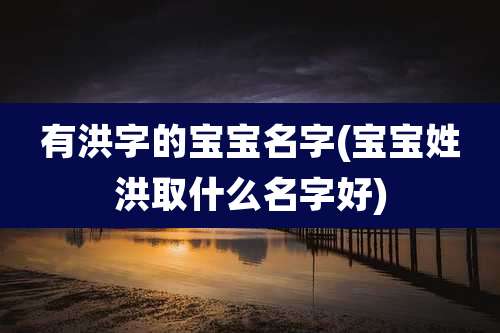有洪字的宝宝名字(宝宝姓洪取什么名字好)