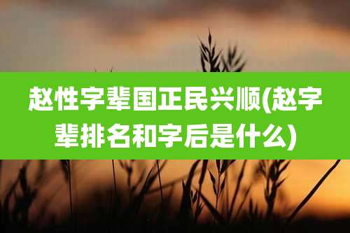 赵性字辈国正民兴顺(赵字辈排名和字后是什么)