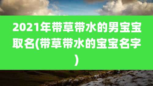 2021年带草带水的男宝宝取名(带草带水的宝宝名字)