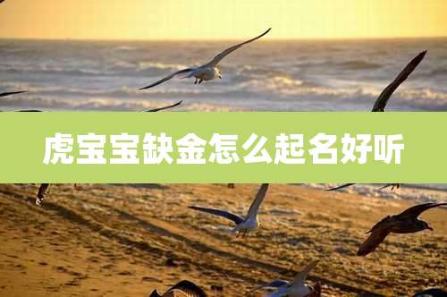 虎宝宝缺金怎么起名好听